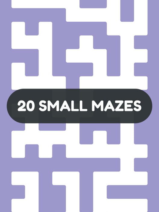 Jaquette de 20 Small Mazes
