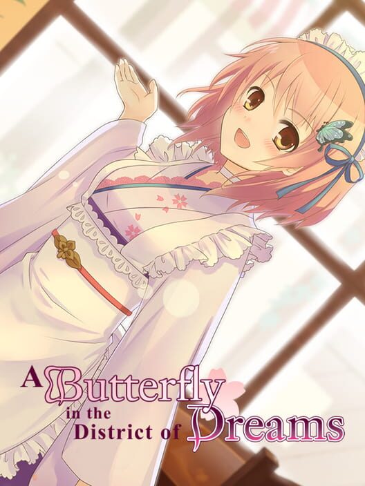 Jaquette de A Butterfly in the District of Dreams
