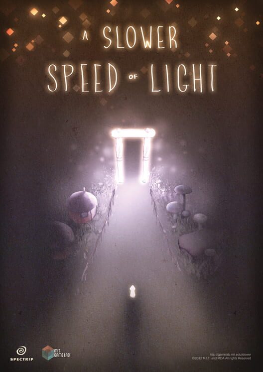 Jaquette de A Slower Speed of Light