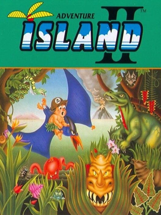 Jaquette de Adventure Island II