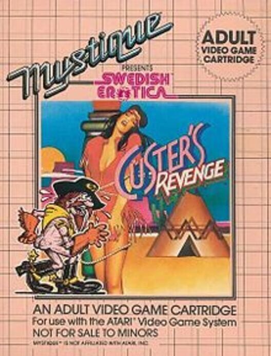 Jaquette de Custer's Revenge