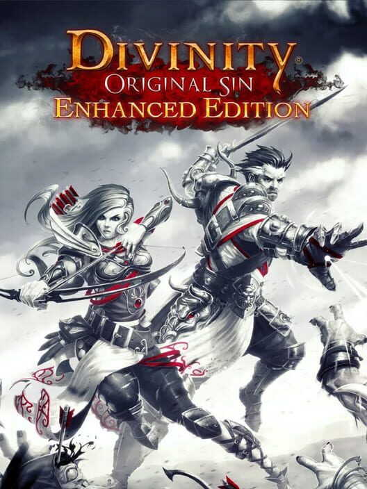 Jaquette de Divinity: Original Sin - Enhanced Edition