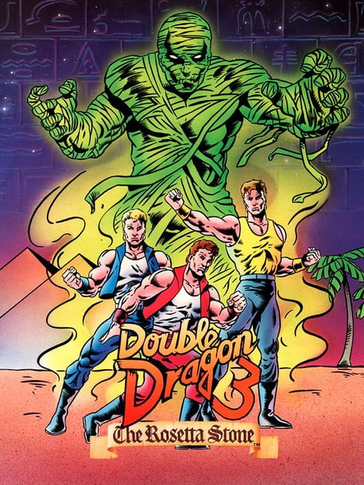 Jaquette de Double Dragon 3: The Rosetta Stone