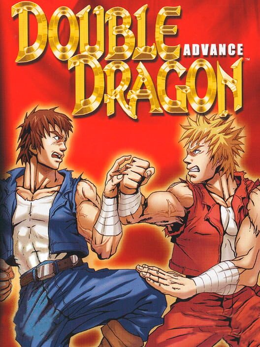 Carátula de Double Dragon Advance