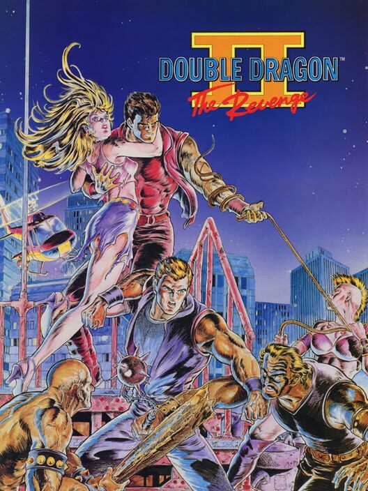 Jaquette de Double Dragon II: The Revenge