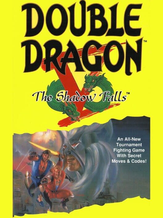 Jaquette de Double Dragon V: The Shadow Falls