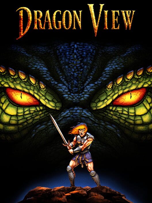 Jaquette de Dragon View