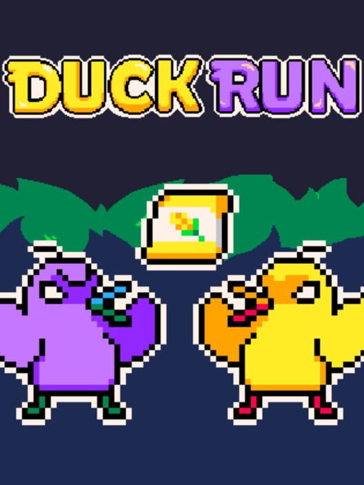 Duck Run cover art