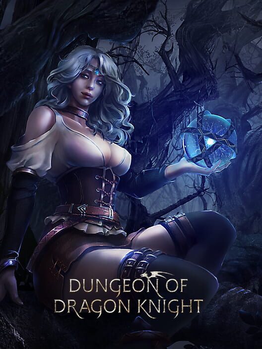 Jaquette de Dungeon of Dragon Knight