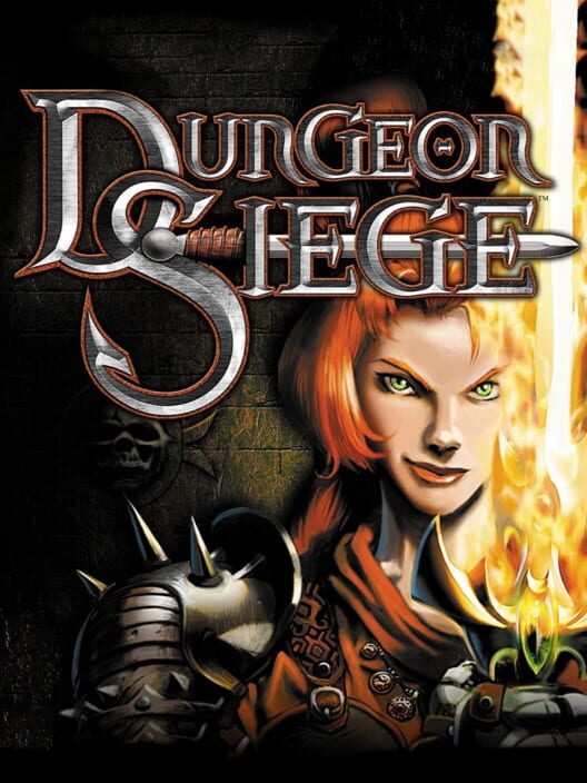 Jaquette de Dungeon Siege