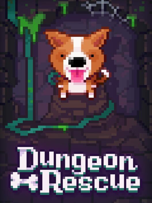 Jaquette de Fidel: Dungeon Rescue