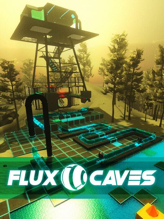Jaquette de Flux Caves