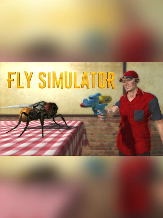 Jaquette de Fly Simulator