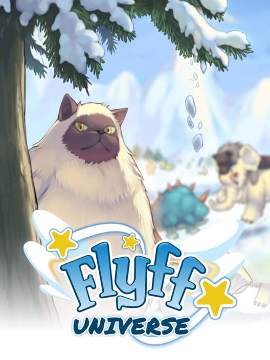 Jaquette de Flyff Universe