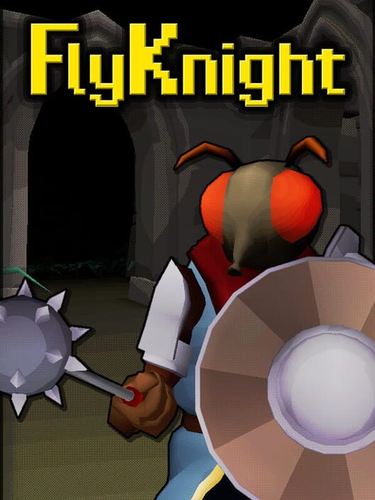 Jaquette de FlyKnight