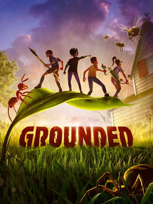 Jaquette de Grounded