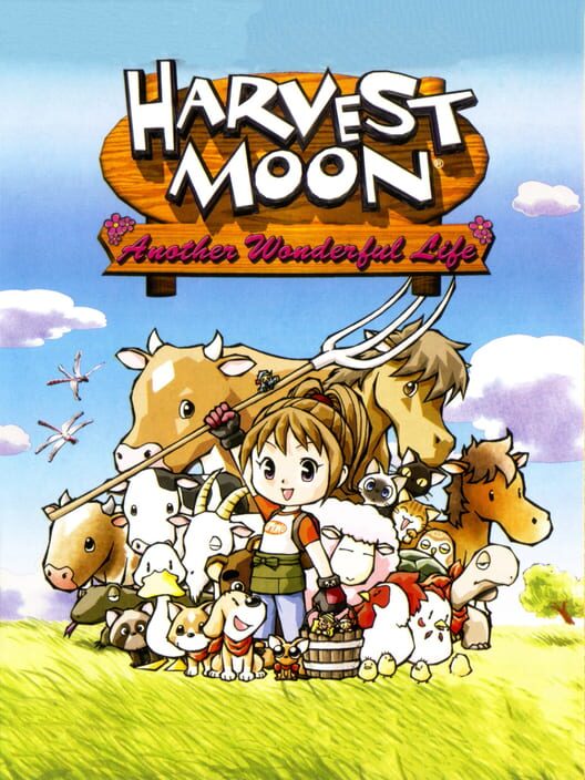 Jaquette de Harvest Moon: Another Wonderful Life