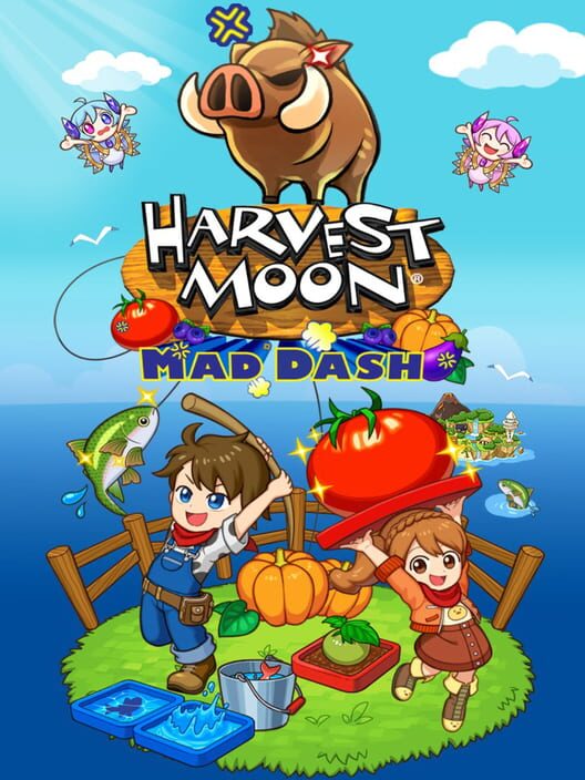 Jaquette de Harvest Moon: Mad Dash
