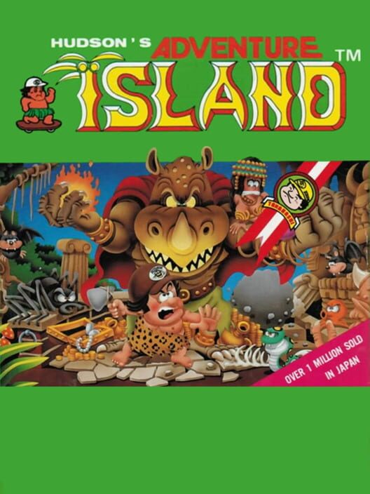 Jaquette de Hudson's Adventure Island