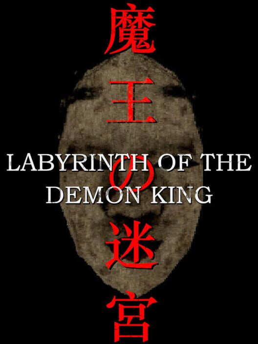 Jaquette de Labyrinth of the Demon King