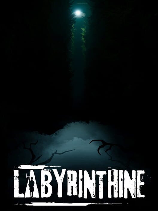 Jaquette de Labyrinthine