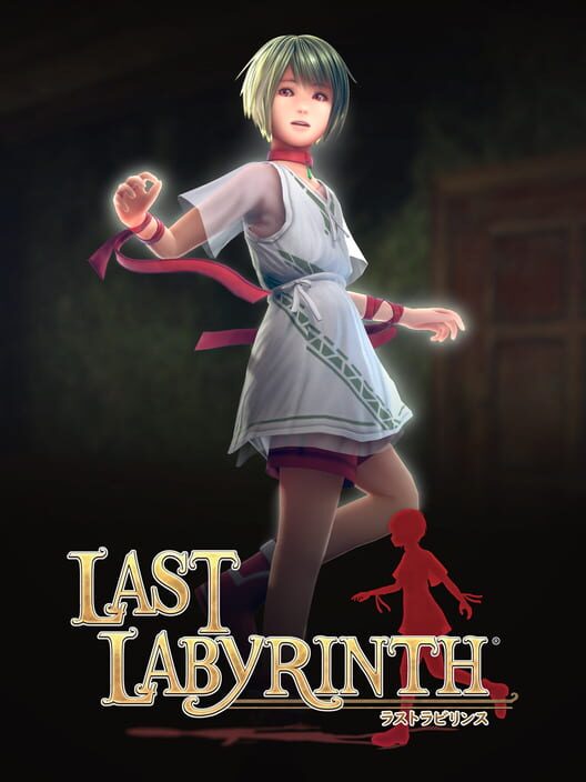 Jaquette de Last Labyrinth