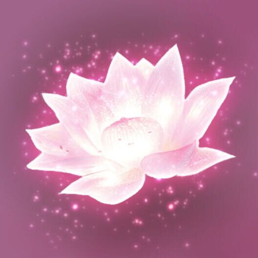 Lotus Digital cover art