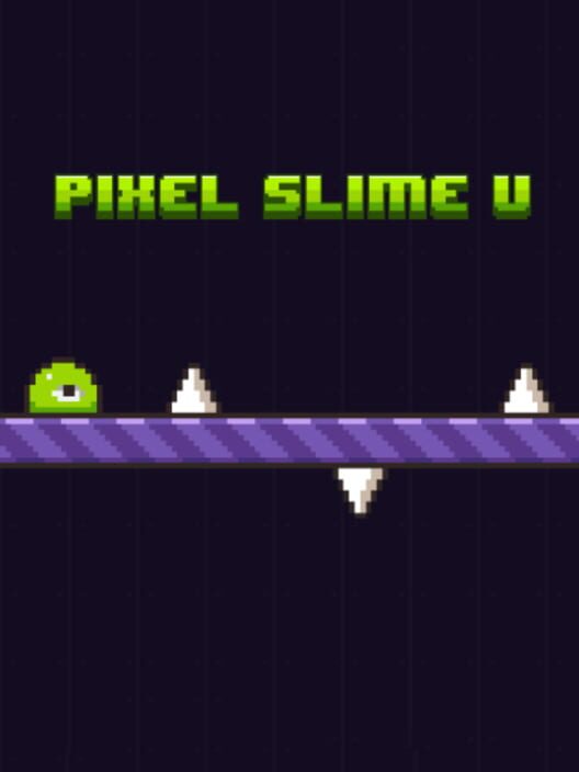 Jaquette de Pixel Slime U