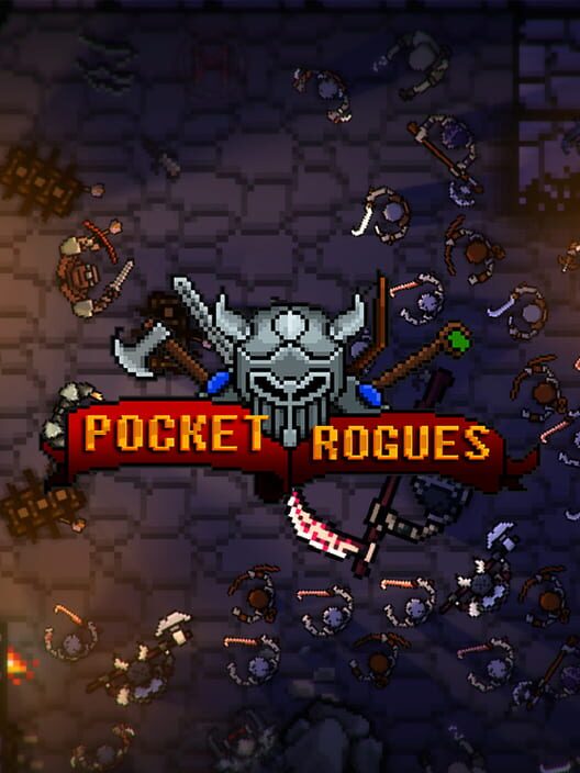 Jaquette de Pocket Rogues