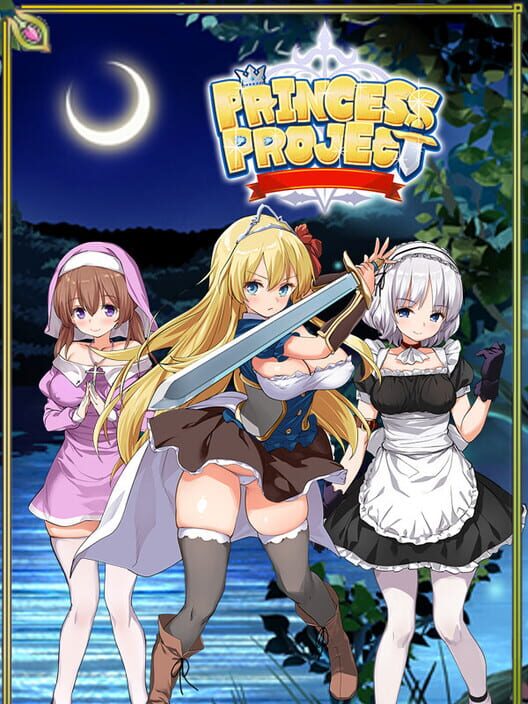 Princess Project cover art