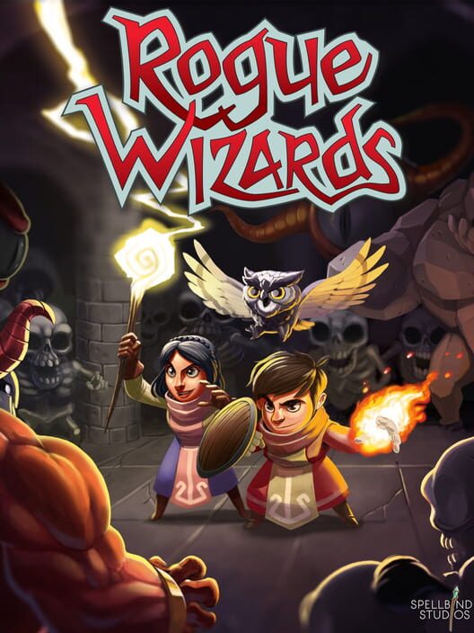 Jaquette de Rogue Wizards