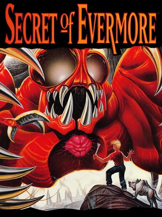 Jaquette de Secret of Evermore