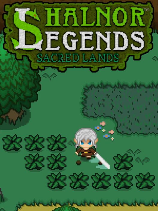 Jaquette de Shalnor Legends: Sacred Lands