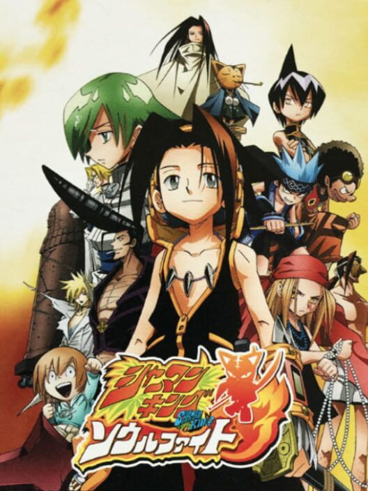 Jaquette de Shaman King: Soul Fight