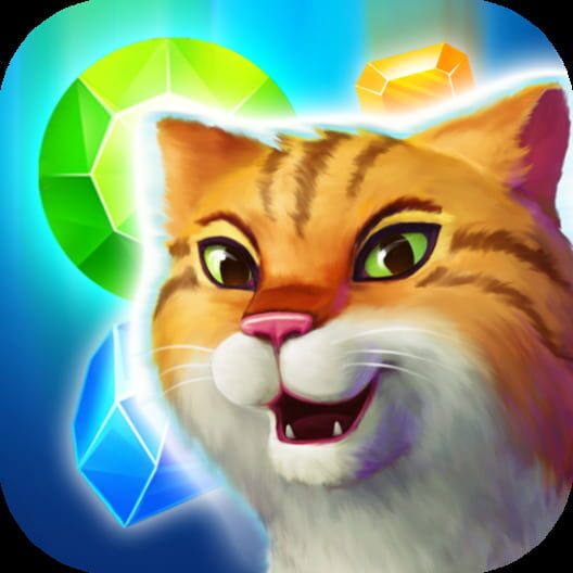 Jaquette de Snow Jewels Puzzle