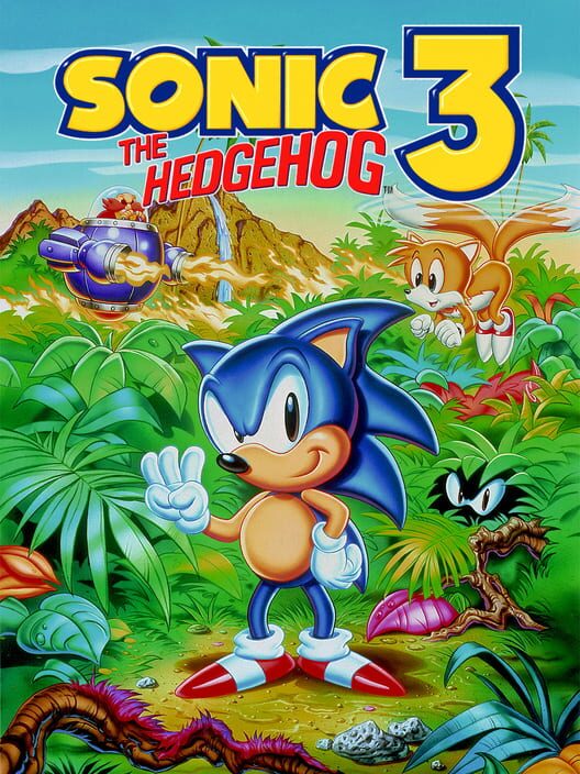 Jaquette de Sonic the Hedgehog 3
