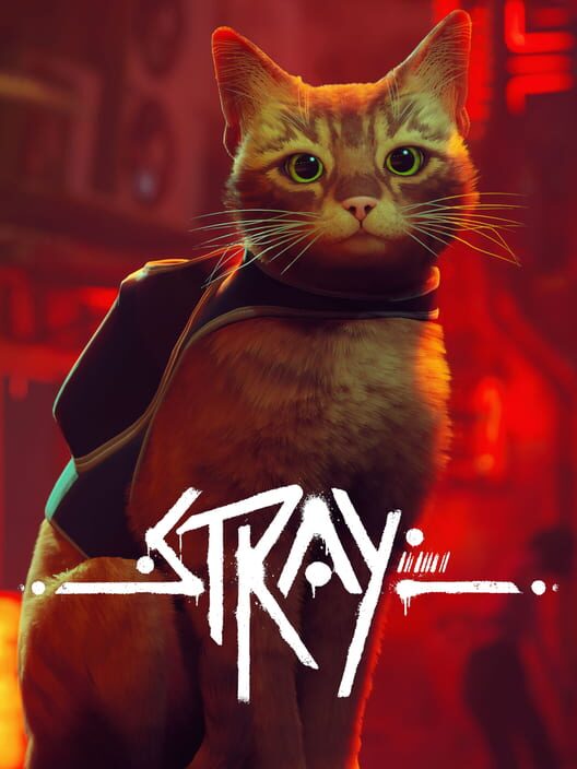 Jaquette de Stray