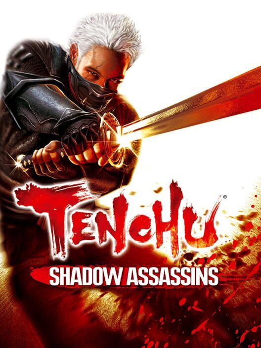 Jaquette de Tenchu: Shadow Assassins
