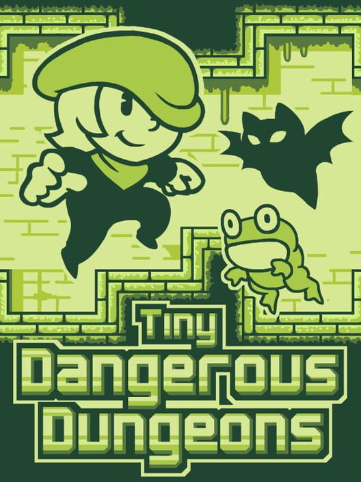 Jaquette de Tiny Dangerous Dungeons