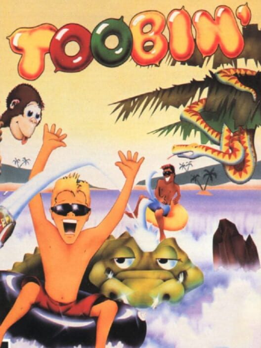Jaquette de Toobin'