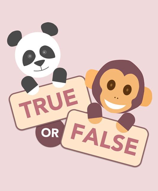 Carátula de True or False
