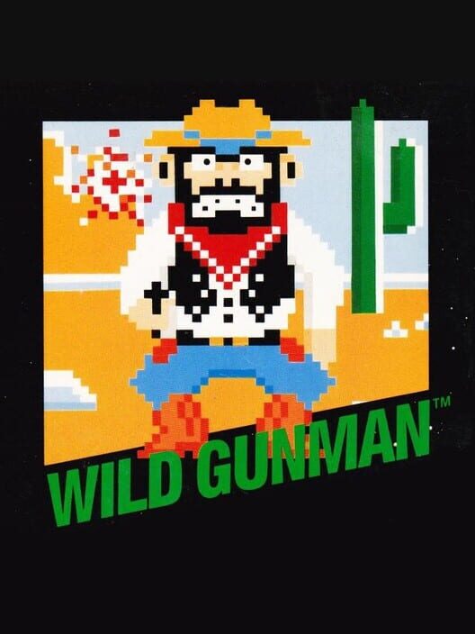 Jaquette de Wild Gunman