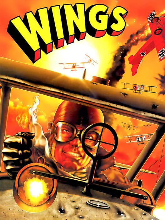 Jaquette de Wings
